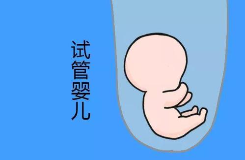 胚胎培養
